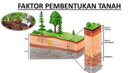 faktor faktor yang mempengaruhi proses pembentukan tanah 4 Manfaat 1